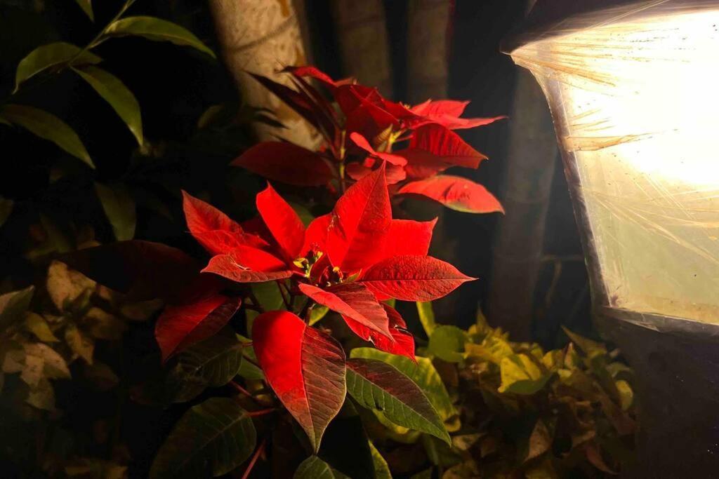 Valecha Villa Entire 4Bhkbunglow With 5000 Sq Ft Garden Lonavala Extérieur photo